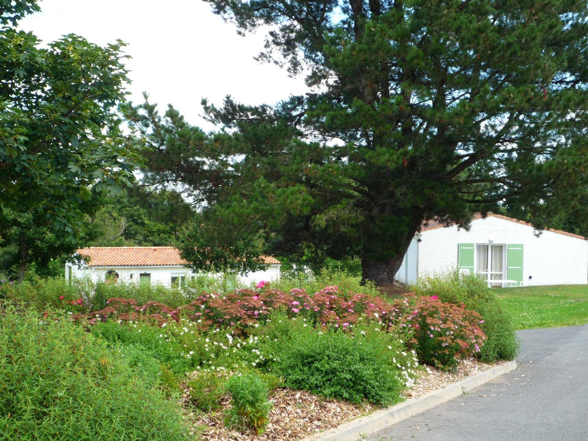 Village Vacances De Chantonnay Eksteriør billede